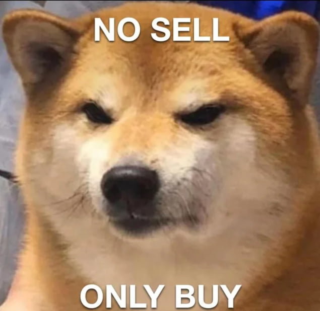 ad8prrQ_700b.jpg