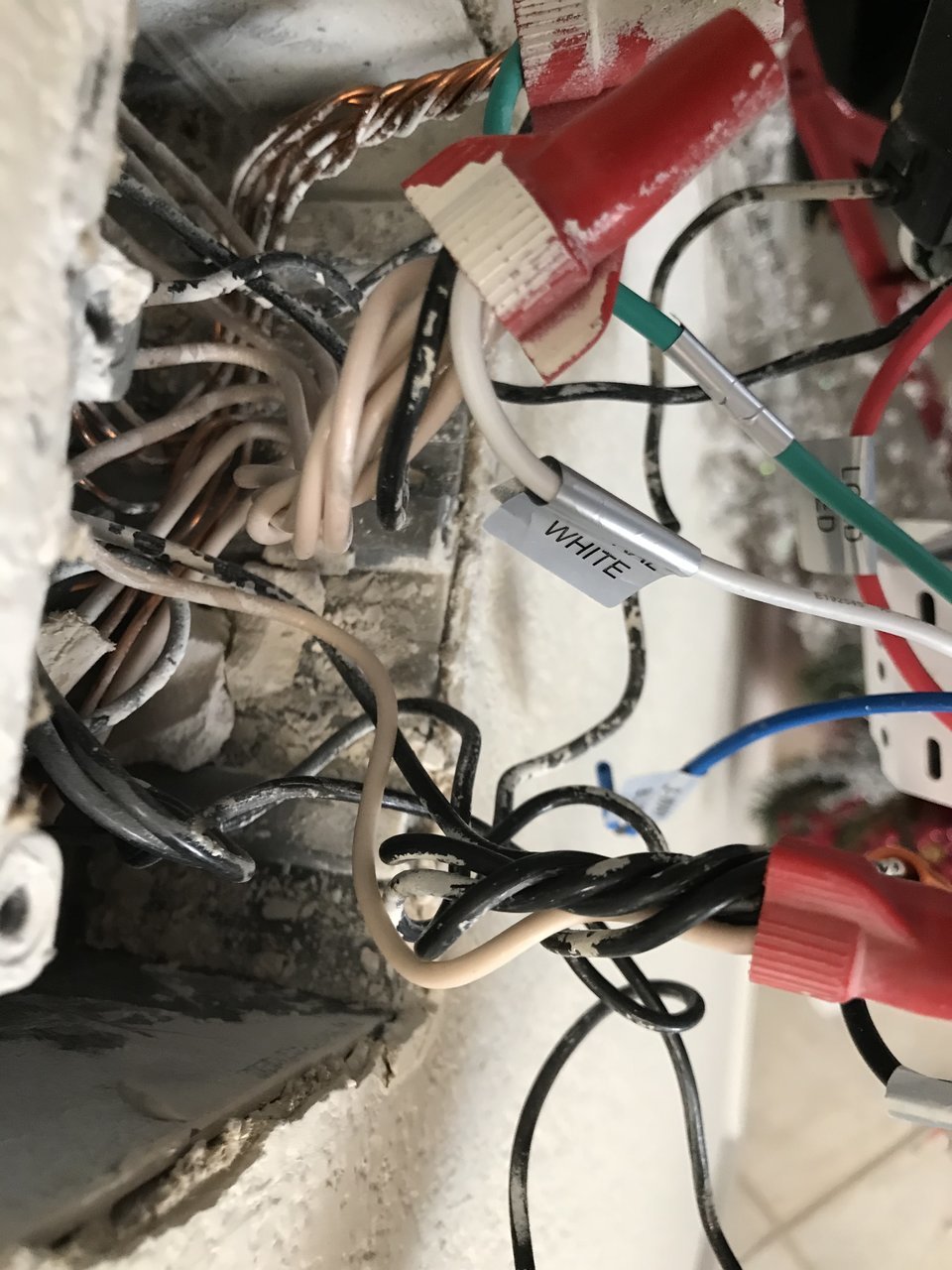 ADA40D36-44D1-4976-AB30-C6C487293270.jpg