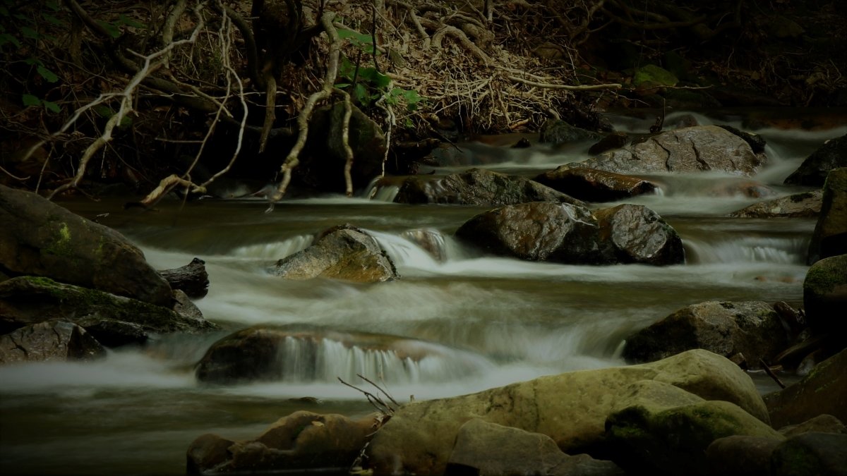 adamsfalls6421.jpg