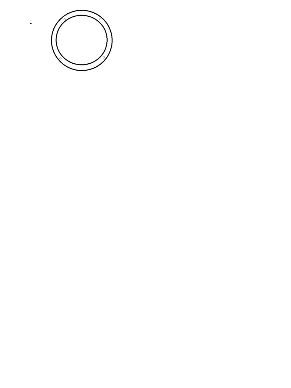 adapter ring.jpg