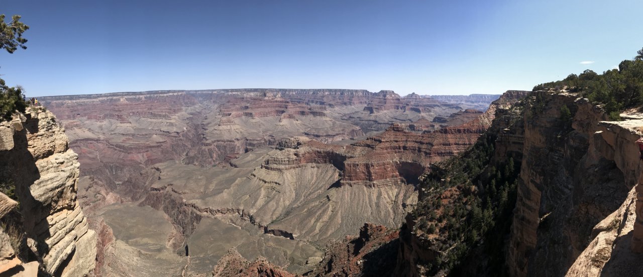 AE3930A5-7B01-445F-8293-D4B9634FF9D6.jpg