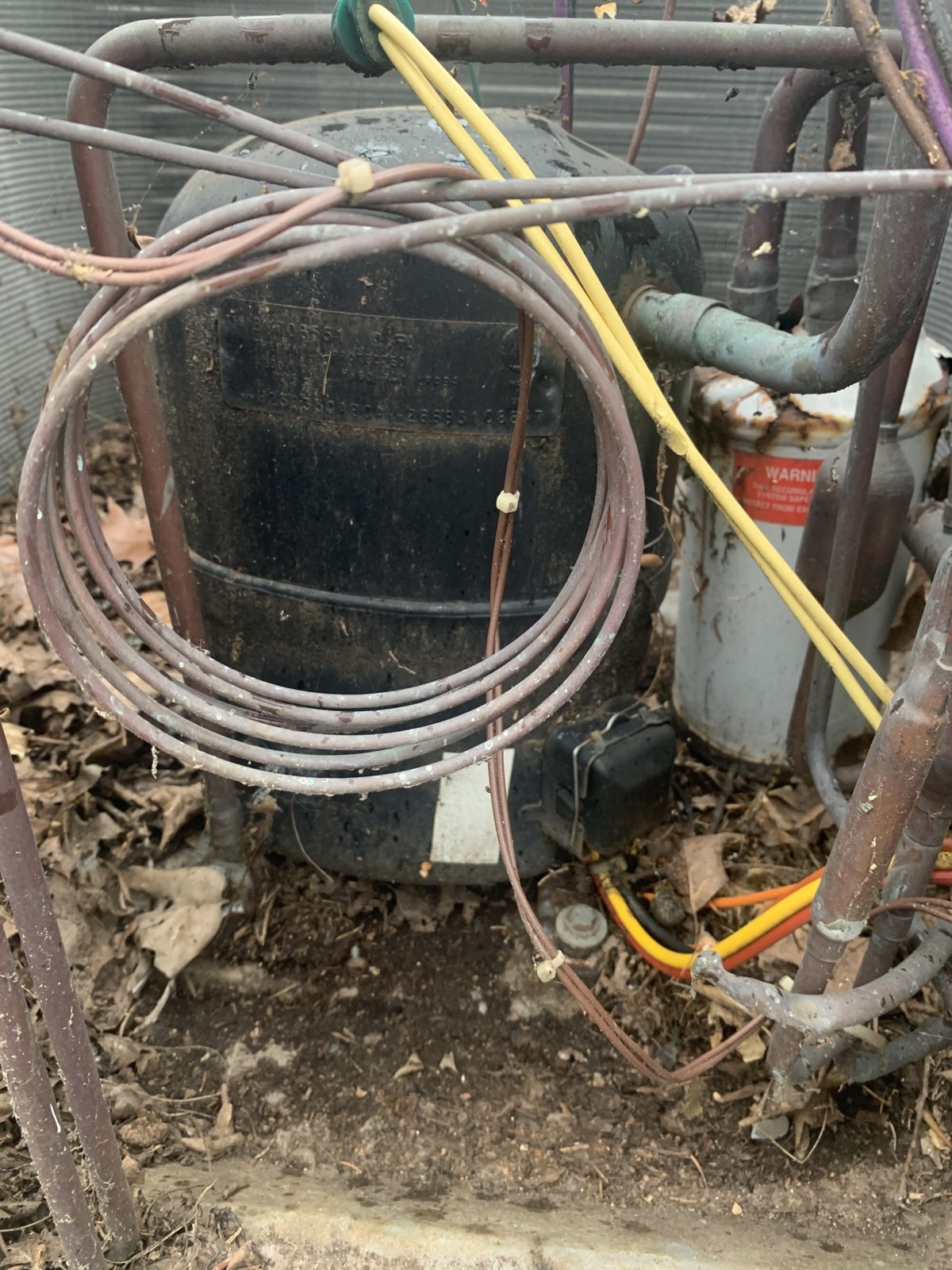 AE40BEDB-D7EC-43DA-B2A1-0B823A1BD62E.jpg