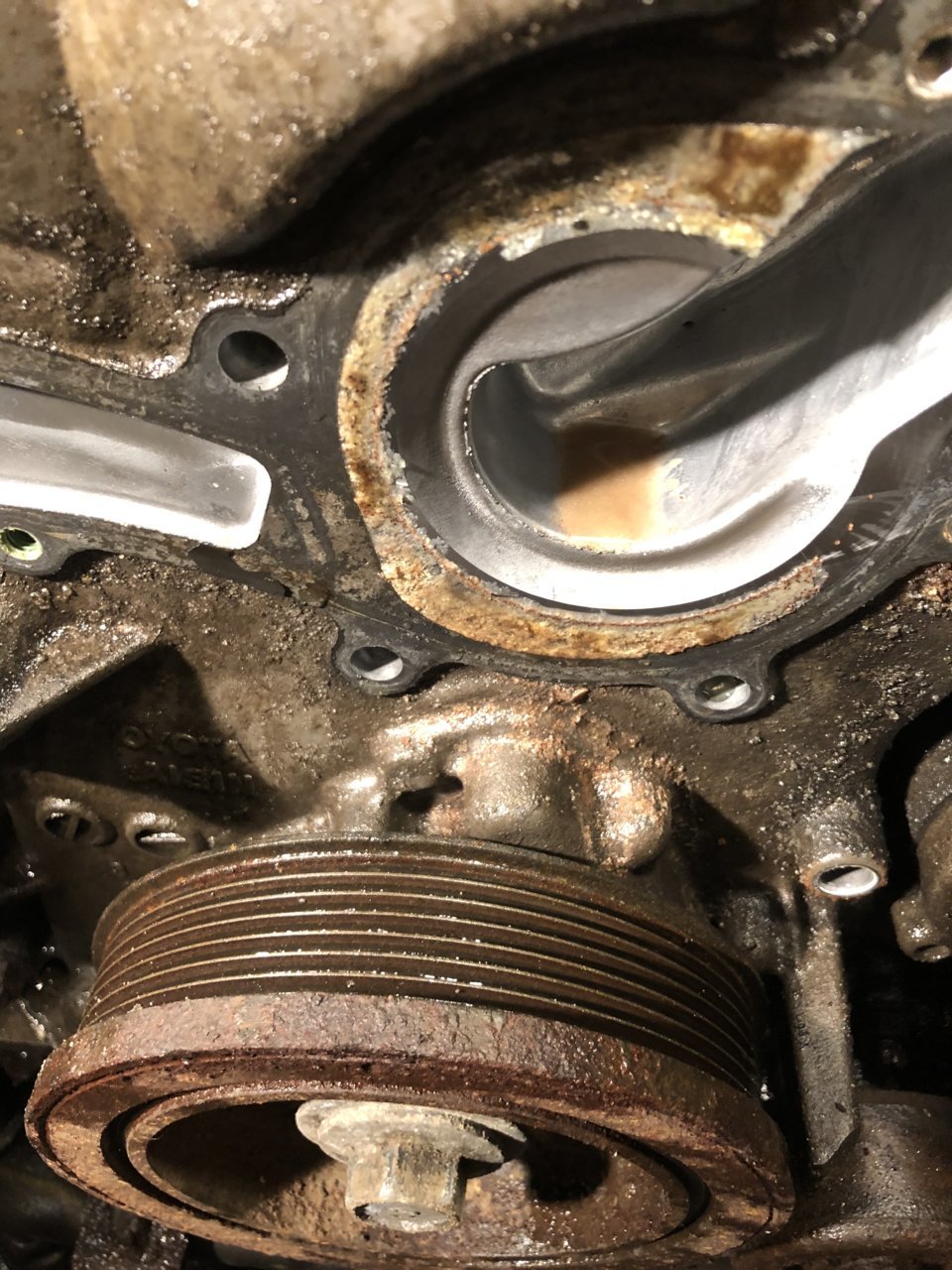 AE8265B0-F128-4EEC-B683-4EF31C1C9278.jpg