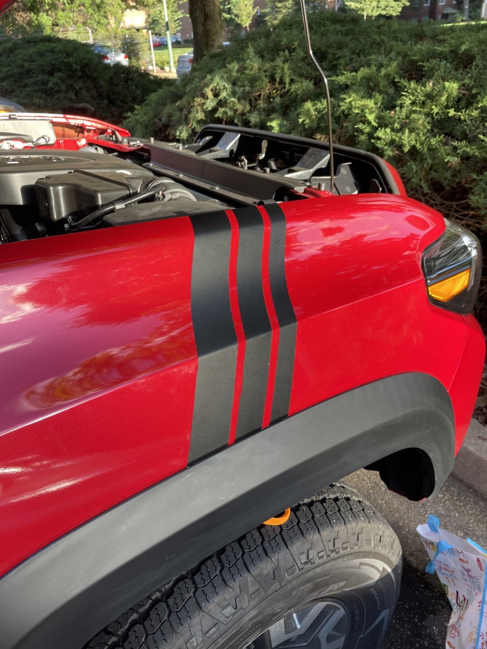 AE8AA533-5D03-4292-8461-C29983B77047.jpg