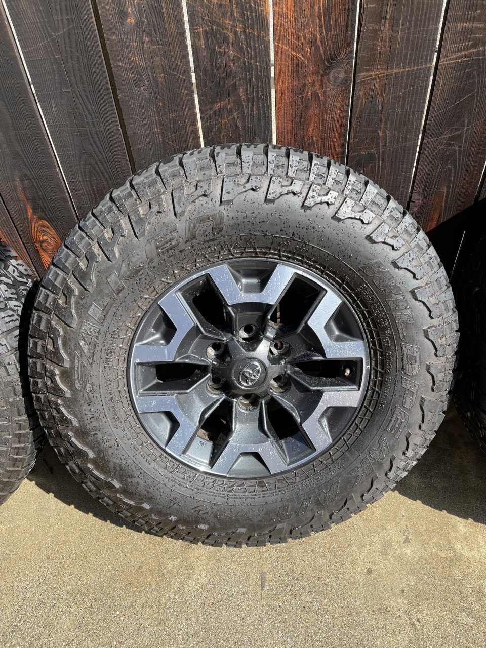 AEB287CE-9DA7-44FE-AAE0-196CC1C84244.jpg