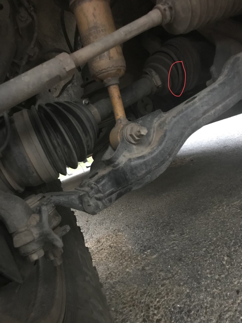 AEC40CD6-AA4D-4976-9D8B-38E0C804E9AE.jpg