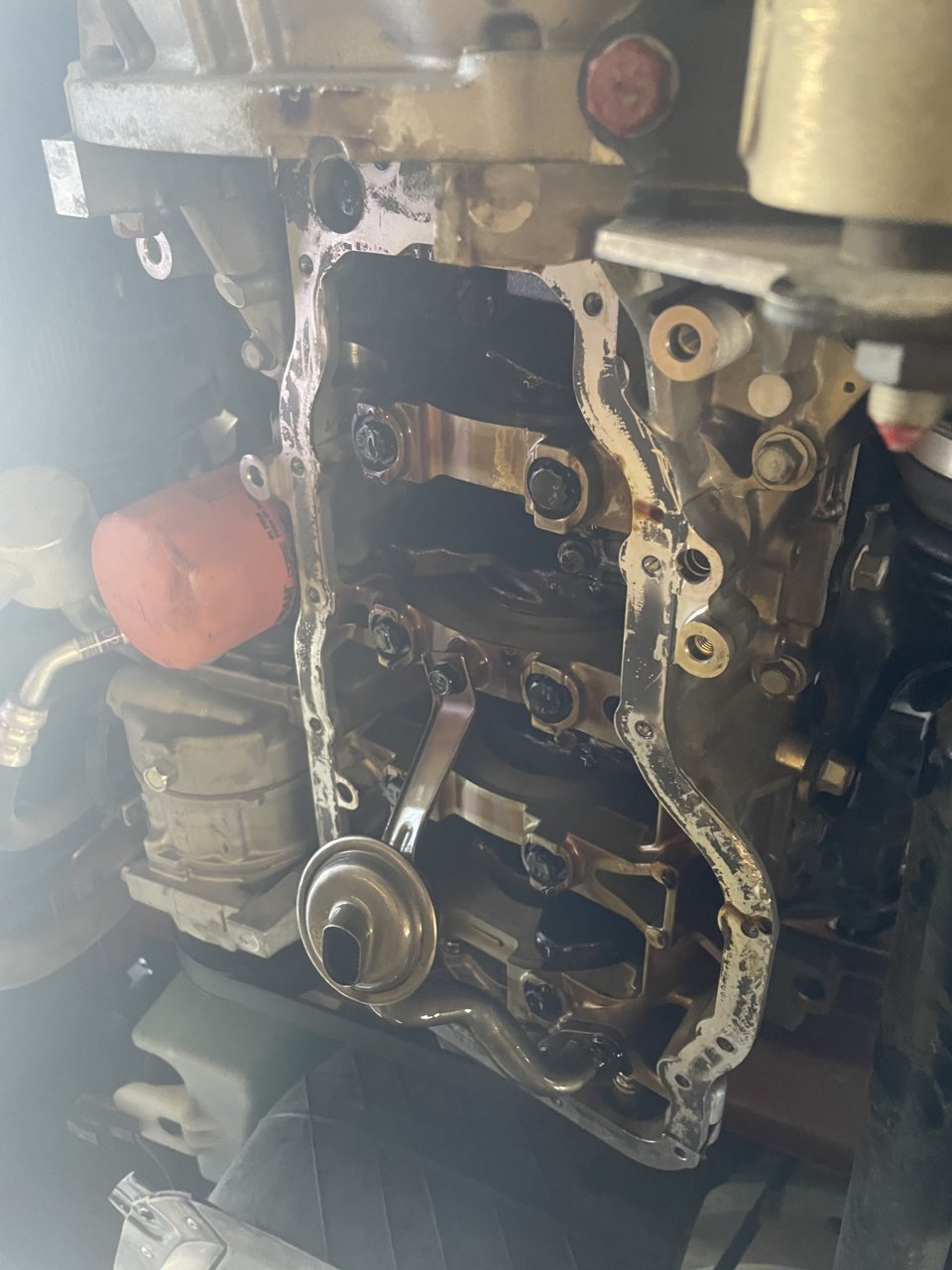 AEC4A153-8733-4EF5-908F-63955499DD71.jpg