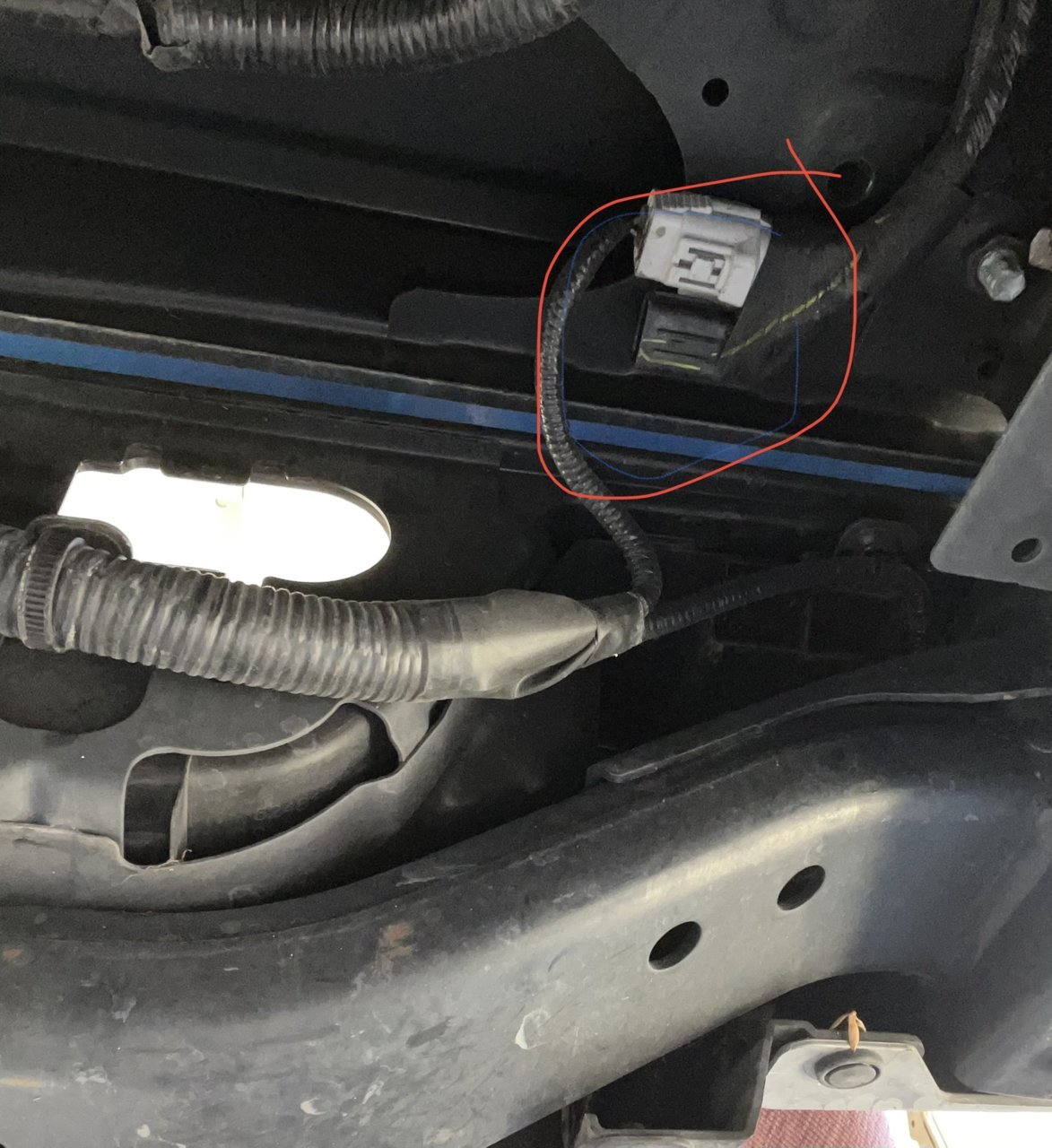AEDC9FC1-D34C-4364-AAD2-98BD6289AEF0.jpg