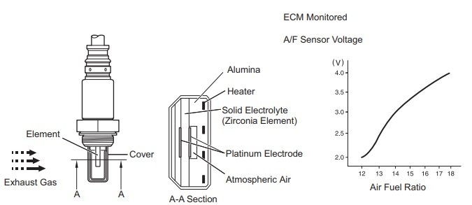 AF Sensor.jpg