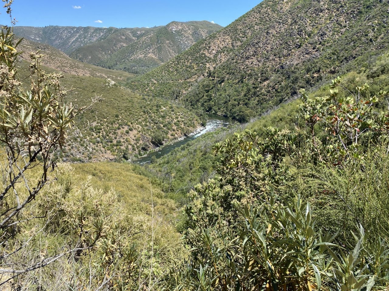 AF525866-8AA2-4997-AE0B-758CF09415AC.jpg