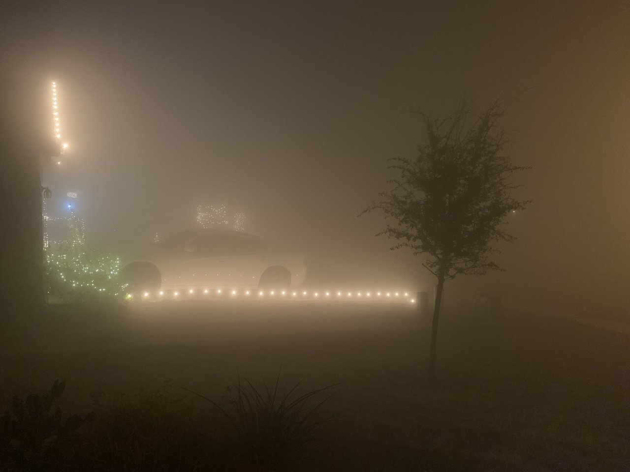 AF99EAFF-1E04-4B12-A6E2-53266EF6FD19.jpg