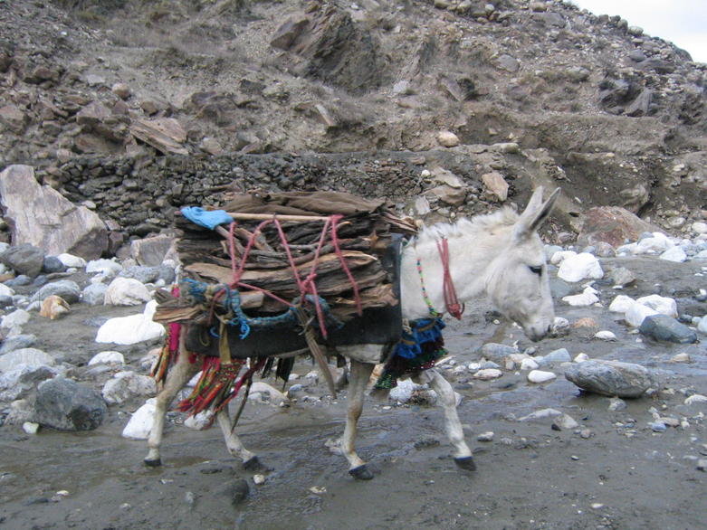 afghanistan   OEF 2004 3 088.jpg