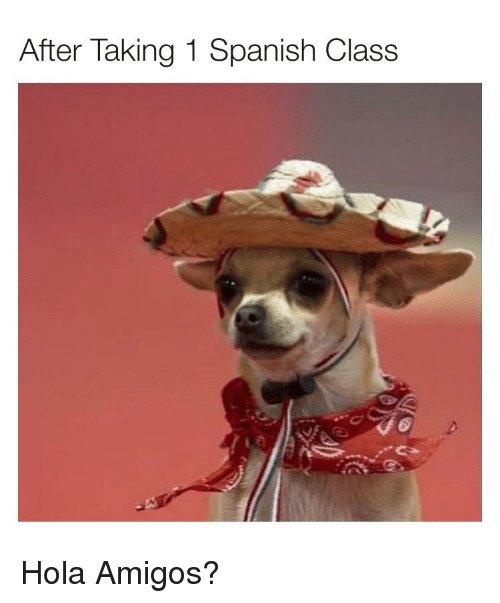 after-taking-1-spanish-class-hola-amigos-41188503.jpg