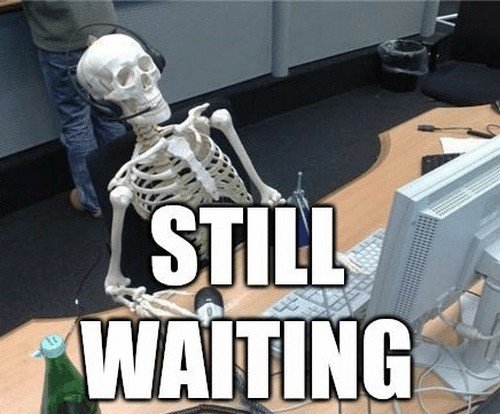 agent_skeleton_still_waiting_meme1.jpg