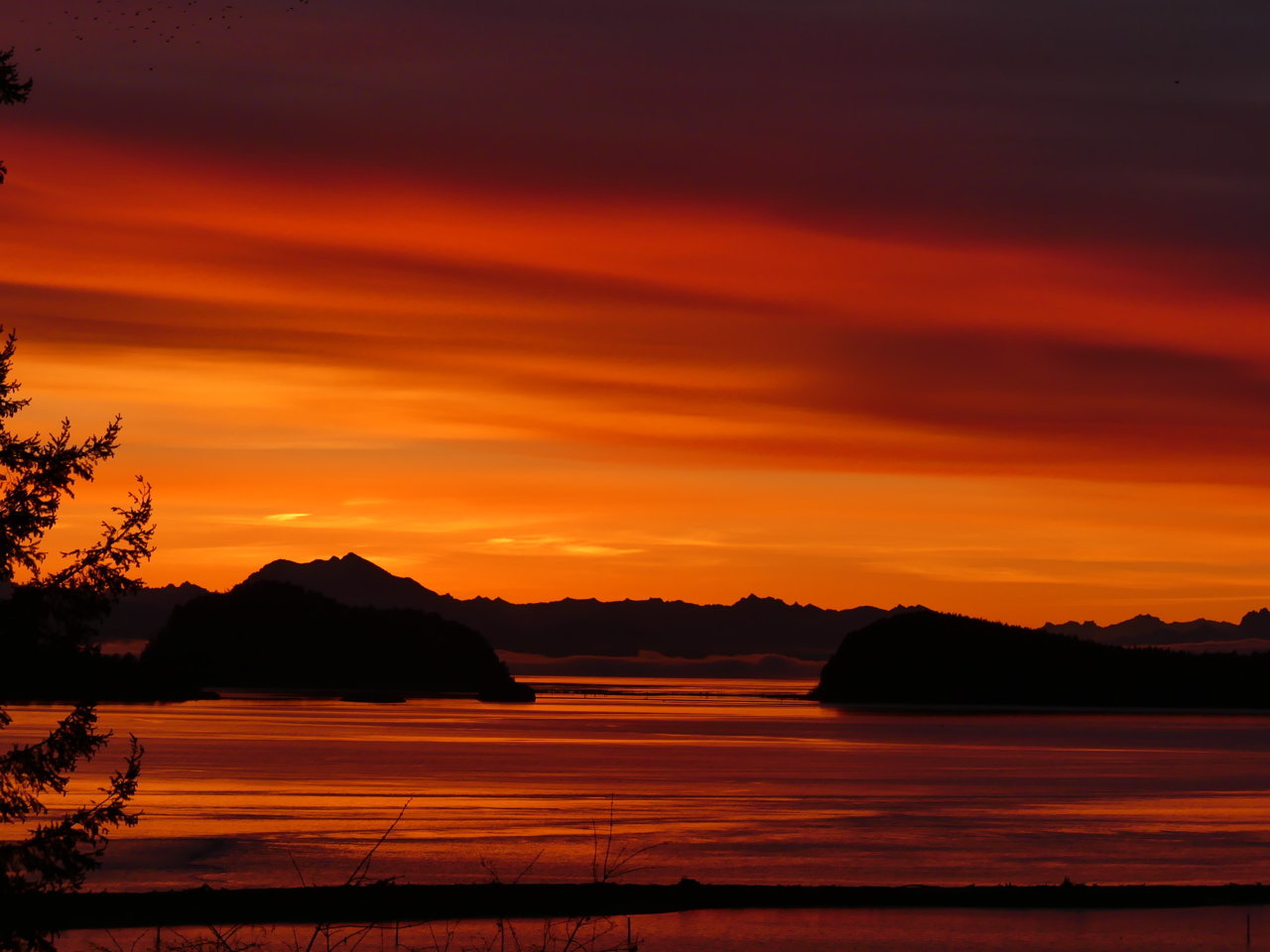 AHD December Sunrise.jpg