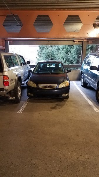 aholeparking6.jpg
