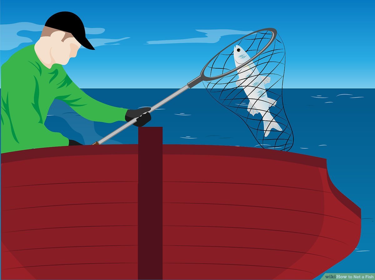 aid28261-v4-1200px-Net-a-Fish-Step-9.jpg