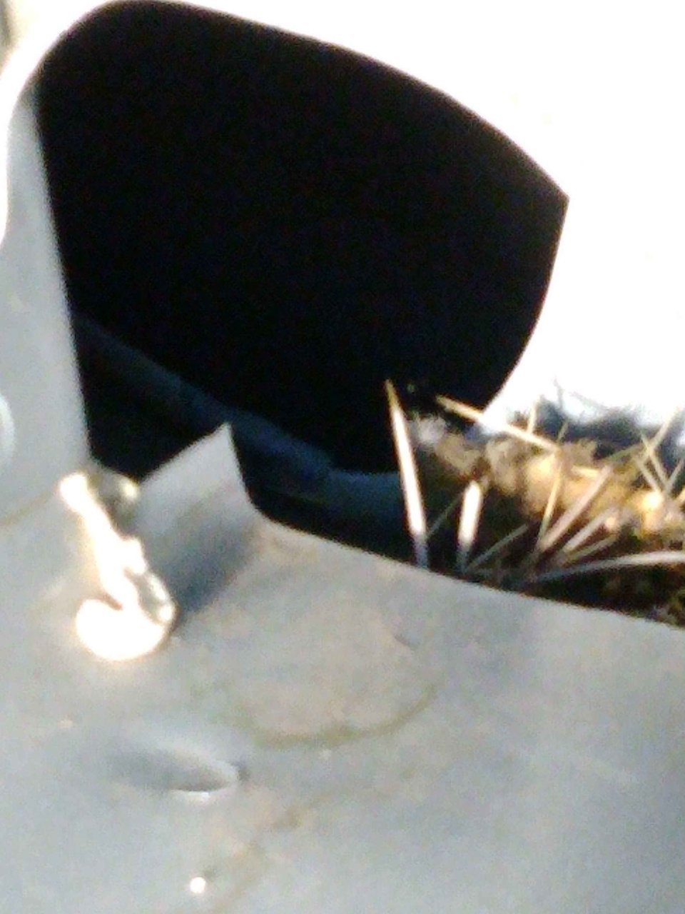 Air Intake from Fender for Cabin.jpg