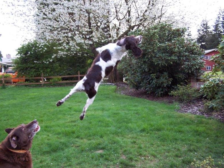 Airtime Jack.jpg