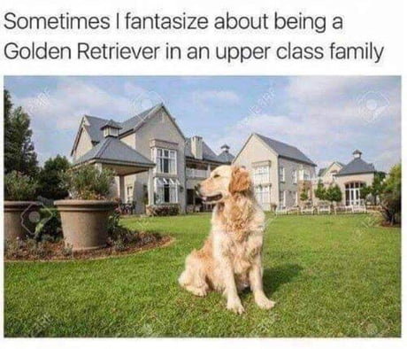 aj8y1RR_460s.jpg