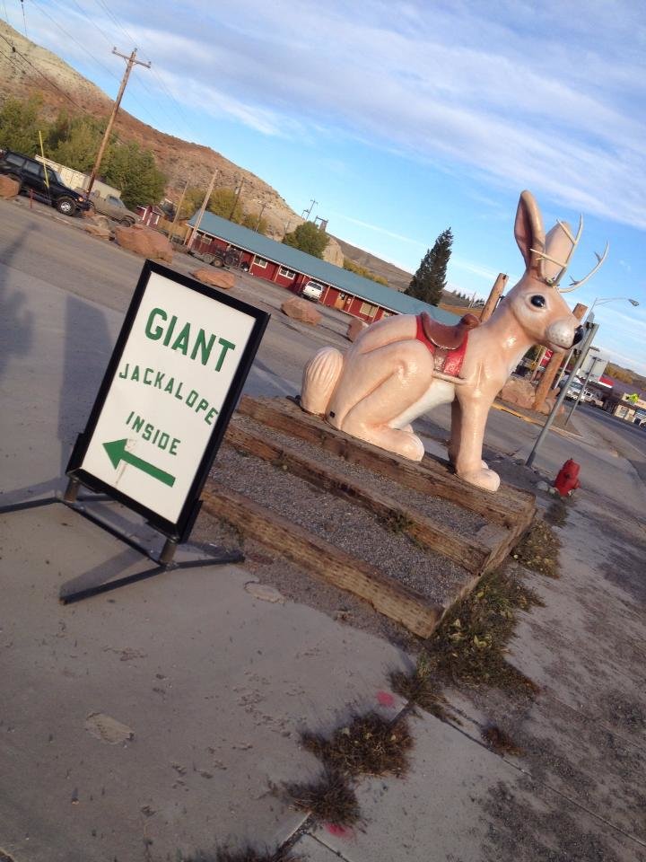 Ajackalope_7ec3f82c7d3afc35d7905141d50b70367fff1313.jpg