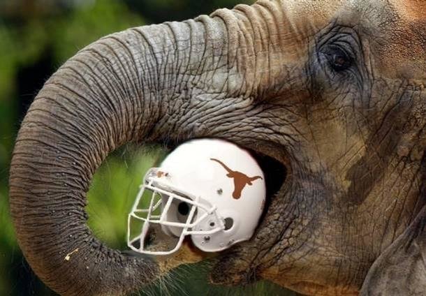AL_eating_Helmet.jpg