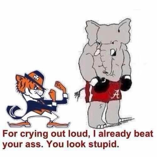 Alabama and IrishTiger.jpg