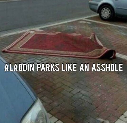 aladdin_parks_like_asshole.jpg
