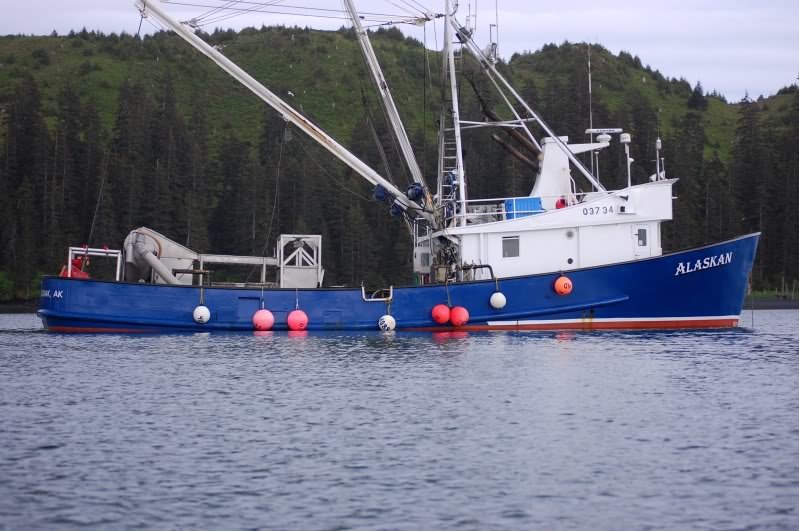 Alaskan_9f25dd2a1b10317ef502824ee5b85cf99f3336c5.jpg