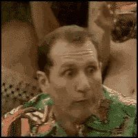 albundygif.jpg