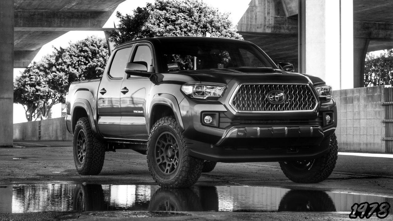 Alex TRD Sport B&W.jpg