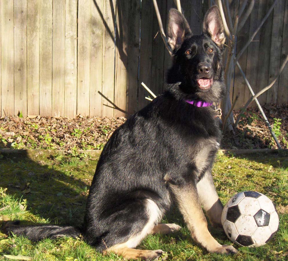 Alexis_with_soccer_ball.jpg