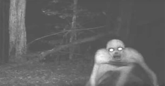 alien-trail-cam-jpg-2670616057.jpg