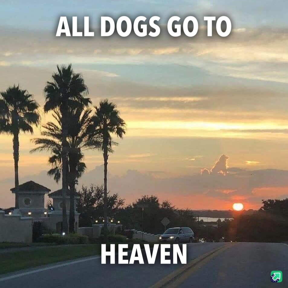 All Dog Go To Heaven.jpg