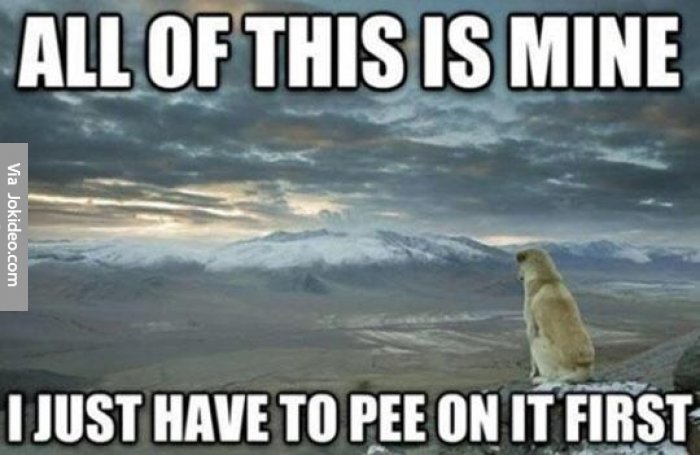 All-of-this-is-mine---dog-meme.jpg