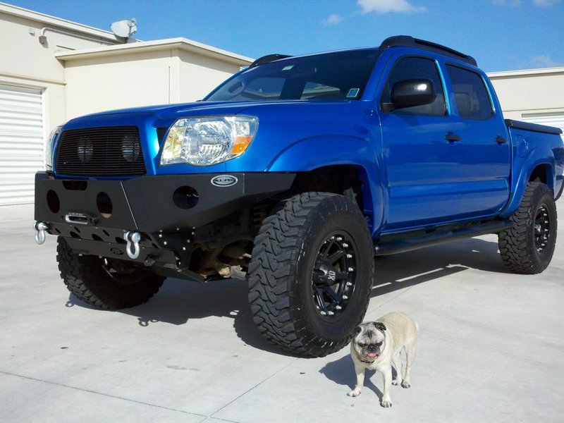 all-pro bumper.jpg