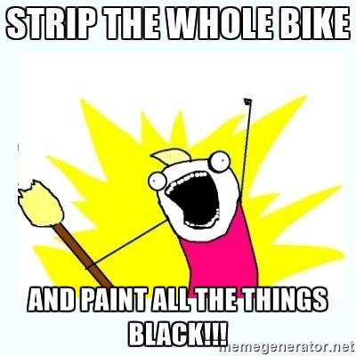 all-the-things-strip-the-whole-bike-and-paint-all-the-things-black.jpg
