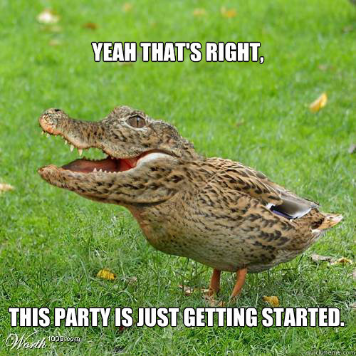 Alligator duck.jpg