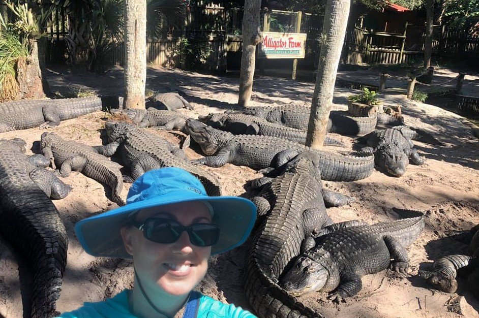 alligator-farm.jpg