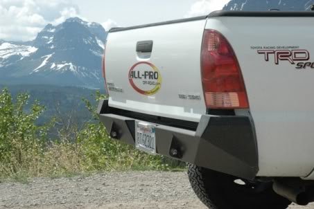 AllProRearBumper.jpg