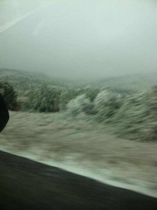 AlpinePass10_zpscd21daa3_9a42f1bf213dfcbb6cfe805621e5b064c48bae25.jpg