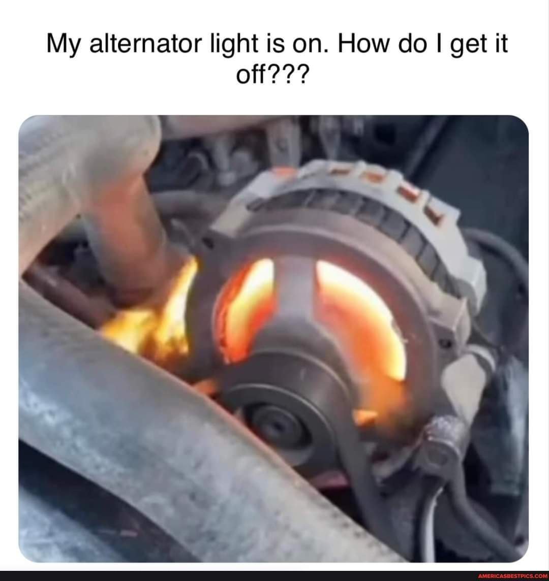 alt.jpg