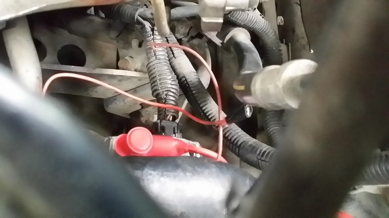 Alternator wiring.jpg