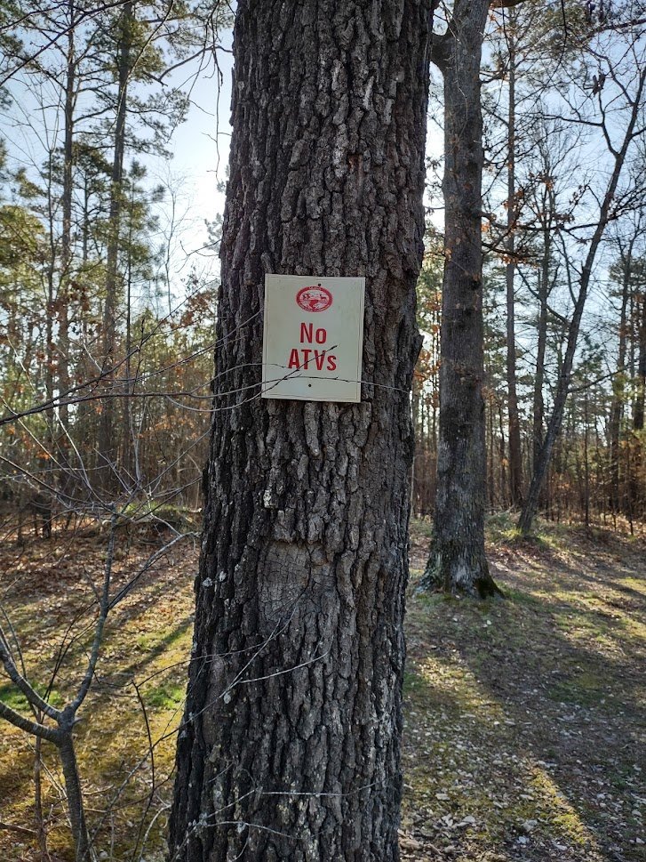 AM-JKLVYoucC_0mzHjIPTXbXEKhNLAFaDsnkV7qi_1272262b95926363eaa5e019ccca9fc301e53f71.jpg