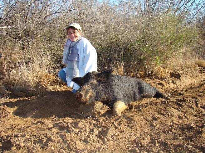 Amanda's pig.jpg