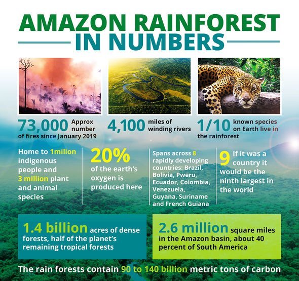 Amazon-rainforest-fire-2020791.jpg