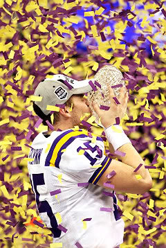 amd_tigersbuckeyes_842b7f73cddef87f1ec3c0c73ff2793314d8f5f5.jpg