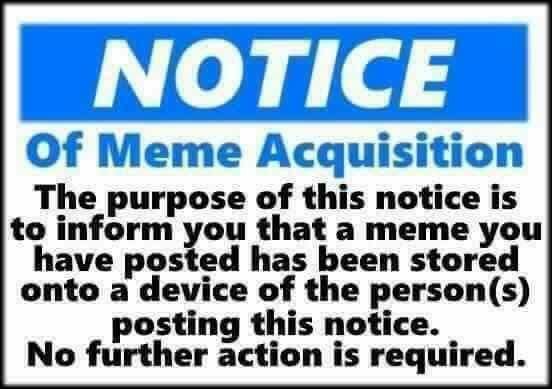 ameme2_n.jpg