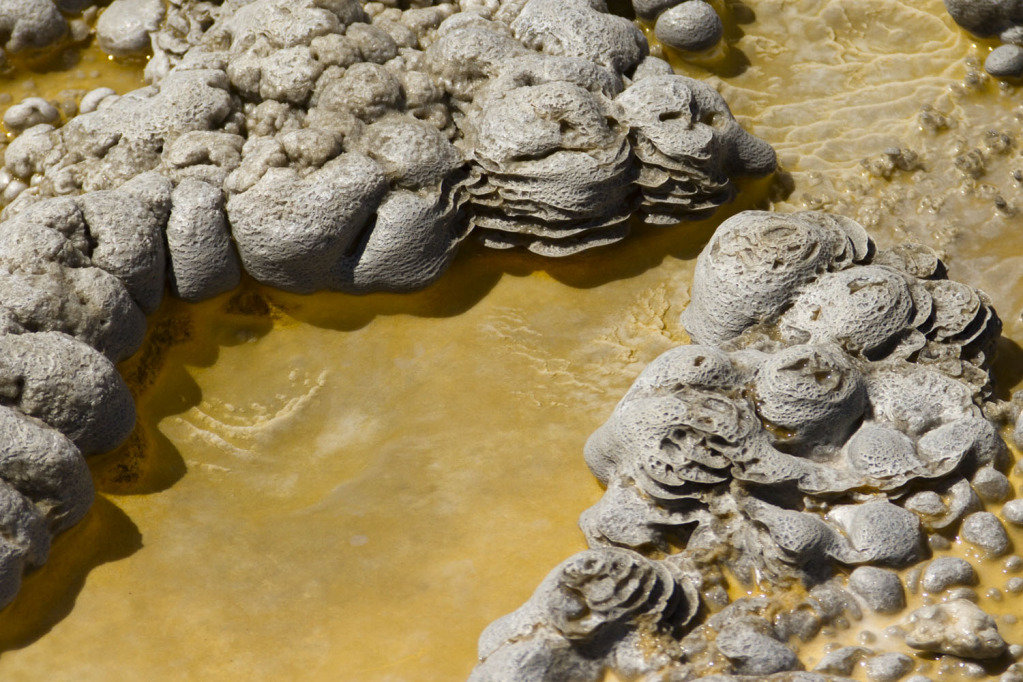 amemonegeyser_c1d90fa2927586b02f5e8258184901c734defc91.jpg