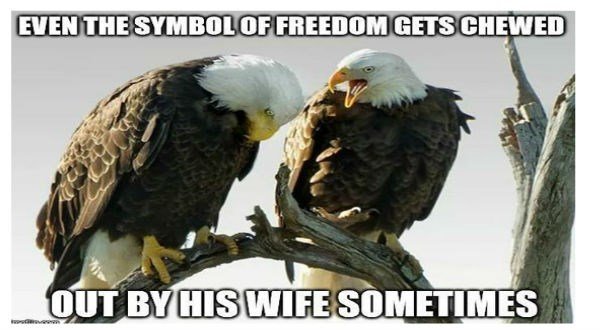 american-eagle-meme.jpg